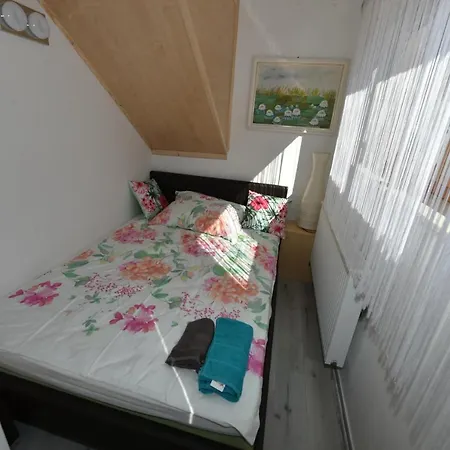 Vila Kosca - 2 For Rent *