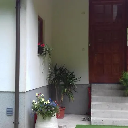 Vila Kosca - 2 For Rent 招待所 *