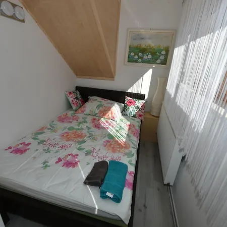 Vila Kosca - 2 For Rent *